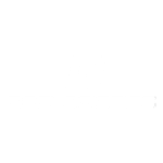 docshipper-beelogistics-partner