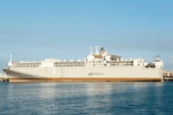 Livestock carrier